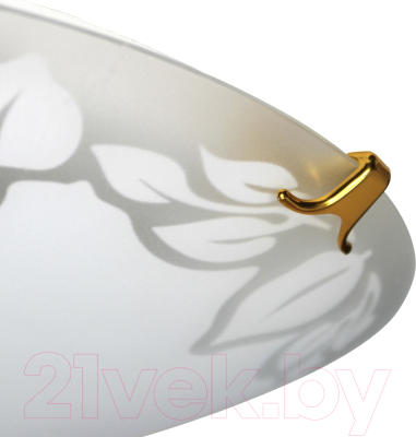 Потолочный светильник Элетех Симфония 400 НПБ 06-3х60 М65 / 1005206081