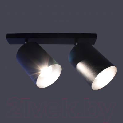 Спот Элетех НПБ 01-2х60-513 / 1005404519