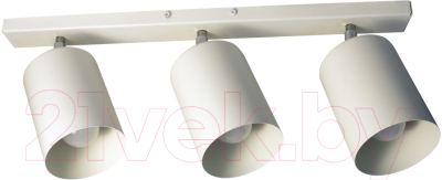 Спот Элетех НПБ 01-3х60-513 / 1005404515 - фото