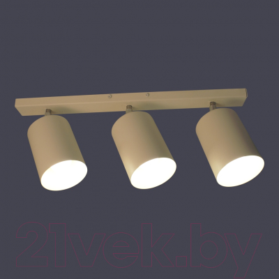 Спот Элетех НПБ 01-3х60-513 / 1005404515