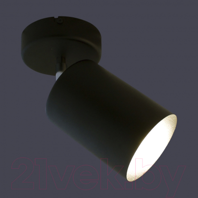 Спот Элетех НПБ 01-60-513 / 1005404518