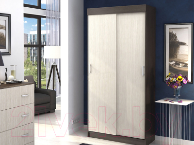 Шкаф-купе Столица Мебели Евро