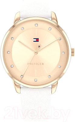 Часы наручные мужские Tommy Hilfiger 1782543 - фото