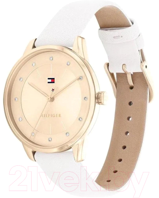 Часы наручные мужские Tommy Hilfiger 1782543