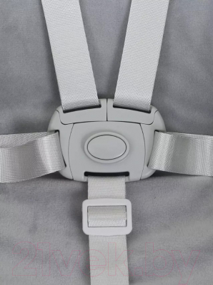 Стульчик для кормления Rant Basic Mango / RH304 (Grey)