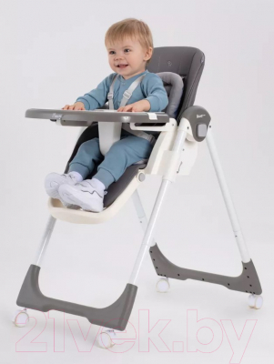 Стульчик для кормления Rant Basic Mango / RH304 (Grey)