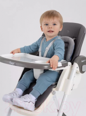 Стульчик для кормления Rant Basic Mango / RH304 (Grey)