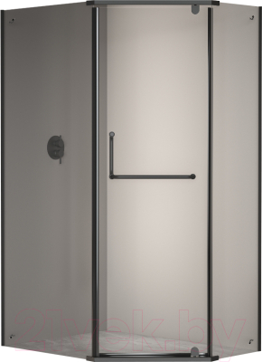 Душевой уголок RGW PA-091 / 35089182-14 - фото