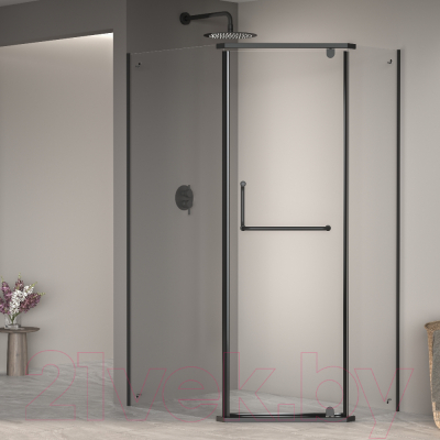 Душевой уголок RGW PA-091 / 35089182-14