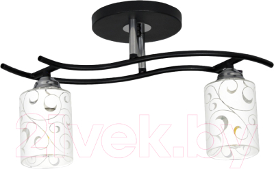 Потолочный светильник Элетех Стиль 121 НПБ 01-2х60-123 Е27 / 1005405037 - фото