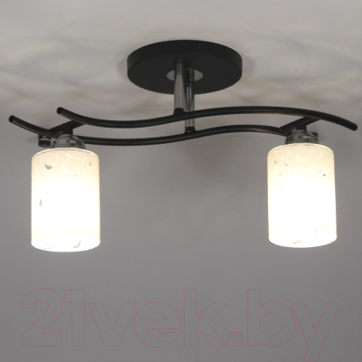 Потолочный светильник Элетех Стиль 121 НПБ 01-2х60-123 Е27 / 1005405037