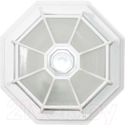 Светильник ЖКХ Элетех Тартаруга НПП 03-100-005 IP65 / 1005301192