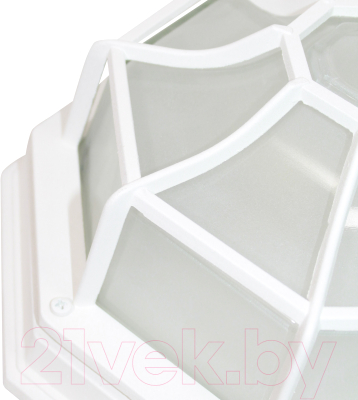 Светильник ЖКХ Элетех Тартаруга НПП 03-100-005 IP65 / 1005301192