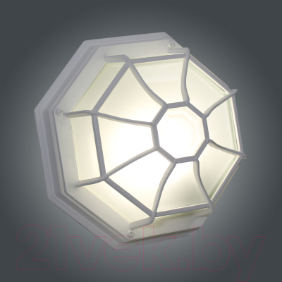 Светильник ЖКХ Элетех Тартаруга НПП 03-100-005 IP65 / 1005301192