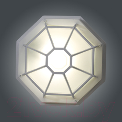 Светильник ЖКХ Элетех Тартаруга НПП 03-100-005 IP65 / 1005301192