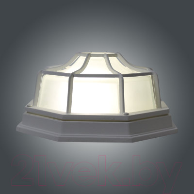 Светильник ЖКХ Элетех Тартаруга НПП 03-100-005 IP65 / 1005301192