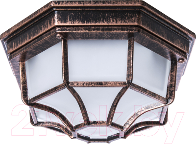 Светильник ЖКХ Элетех Тартаруга НПП 03-100-005 IP65 / 1005501034 - фото