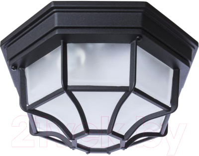 Светильник ЖКХ Элетех Тартаруга НПП 03-100-005 IP65 / 1005301193 - фото