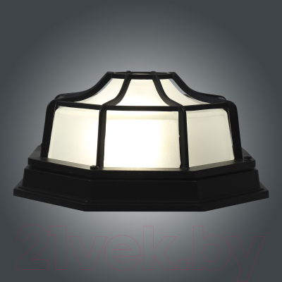 Светильник ЖКХ Элетех Тартаруга НПП 03-100-005 IP65 / 1005301193