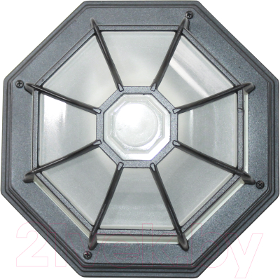 Светильник ЖКХ Элетех Тартаруга НПП 03-100-005 IP65 / 1005301193