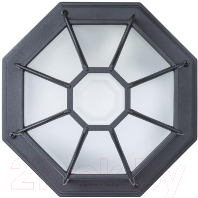 Светильник ЖКХ Элетех Тартаруга НПП 03-100-005 IP65 / 1005301193