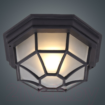 Светильник ЖКХ Элетех Тартаруга НПП 03-100-005 IP65 / 1005301193