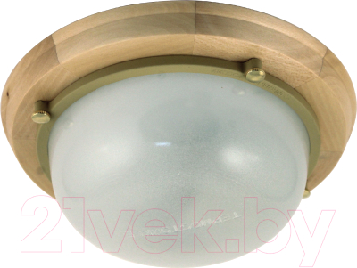 Светильник ЖКХ Элетех Терма 1301 НББ 03-60-013 IP 65 / 1005501030 - фото