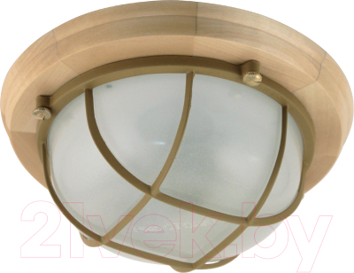 Светильник ЖКХ Элетех Терма 1302 НББ 03-60-014 IP 65 / 1005501031 - фото