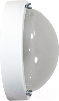 Светильник ЖКХ Элетех Терма 3 НББ 03-60-003 IP65 / 1005500586