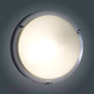 Светильник ЖКХ Элетех Терма 3 НББ 03-60-003 IP65 / 1005500586