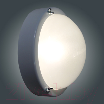 Светильник ЖКХ Элетех Терма 3 НББ 03-60-003 IP65 / 1005500586