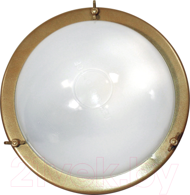 Светильник ЖКХ Элетех Терма 3 НББ 03-60-003 IP65 / 1005500585 - фото