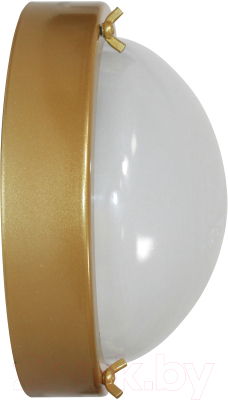 Светильник ЖКХ Элетех Терма 3 НББ 03-60-003 IP65 / 1005500585