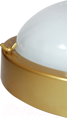 Светильник ЖКХ Элетех Терма 3 НББ 03-60-003 IP65 / 1005500585