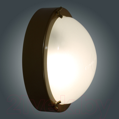 Светильник ЖКХ Элетех Терма 3 НББ 03-60-003 IP65 / 1005500585