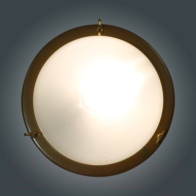 Светильник ЖКХ Элетех Терма 3 НББ 03-60-003 IP65 / 1005500585