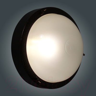 Светильник ЖКХ Элетех Терма 3 НББ 03-60-003 IP65 / 1005500584