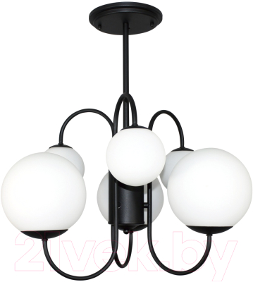 Люстра Элетех Тефия 261 НСБ 01-6х40-101 / 1005405126 (черный)
