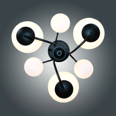 Люстра Элетех Тефия 261 НСБ 01-6х40-101 / 1005405126 (черный)