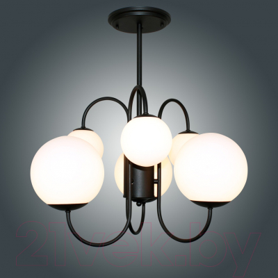 Люстра Элетех Тефия 261 НСБ 01-6х40-101 / 1005405126 (черный)