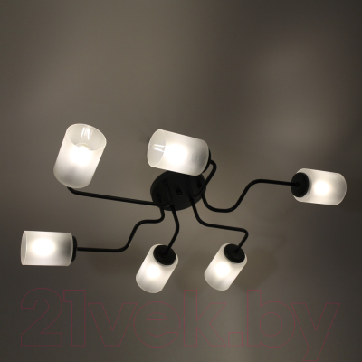 Люстра Элетех Техно 162 НСБ 01-6х60-114 Е27 / 1005404589 (черный)