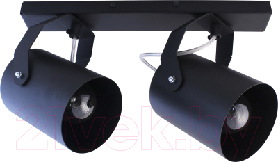 Спот Элетех Трек НПБ 01-2х60-514 / 1005404529 - фото