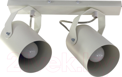 Спот Элетех Трек НПБ 01-2х60-514 / 1005404524 - фото