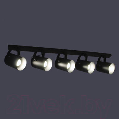 Спот Элетех Трек НПБ 01-5х60-514 / 1005404532