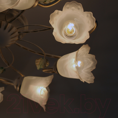 Люстра Элетех Флорин 181 НПБ 01-8х60-101 Е14 / 1005405016