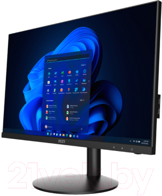 Моноблок MSI Pro AP241Z 5M-061XRU (9S6-AE0411-084) - фото