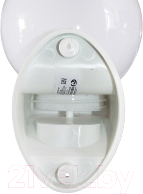 Бра уличное Элетех Шар 160 НБУ 06-40-01 / 1030480468