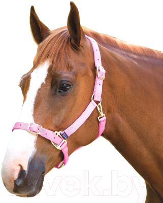 Недоуздок для лошади Shires FULL 384B/PINK/FULL - фото