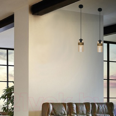 Потолочный светильник Элетех Эмма 211 НСБ 01-60-167 Е27 / 1005251638 (черный)