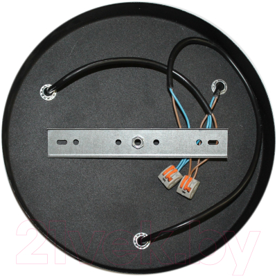 Потолочный светильник Элетех Эмма 231 НСБ 01-3х60-164 Е27 / 1005251640 (черный)